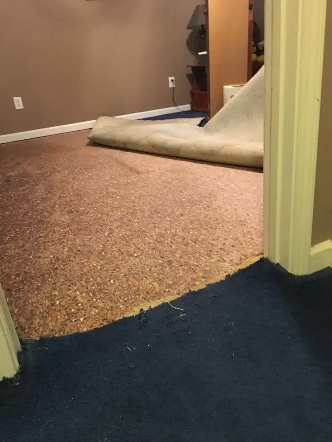Carpet pad removal revealing water damage during Water Mitigation Services in Austintown