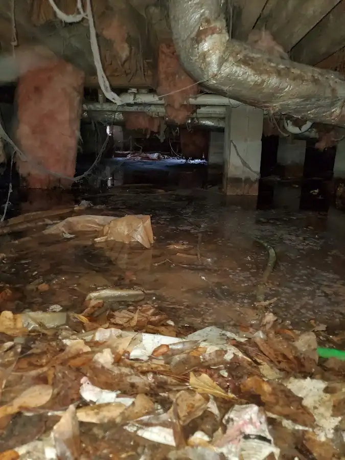 Crawl space flood assessment for Leak Detection & Repair in Austintown